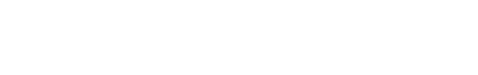 SmartSearch International